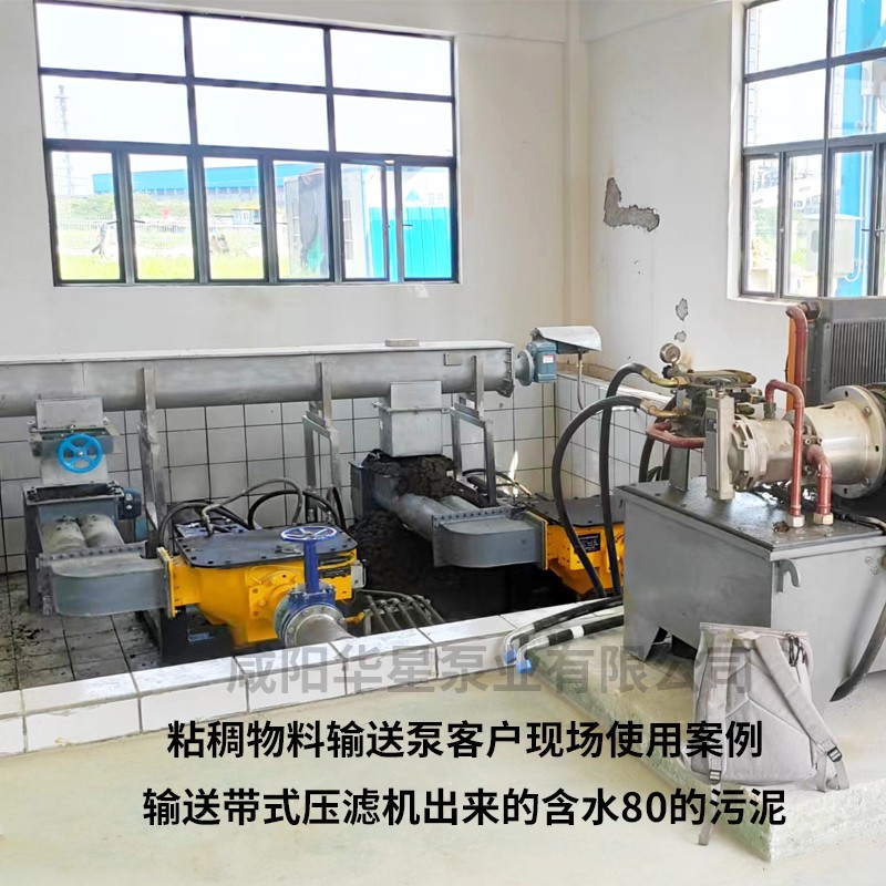 粘稠物料輸送泵客戶(hù)案例1
